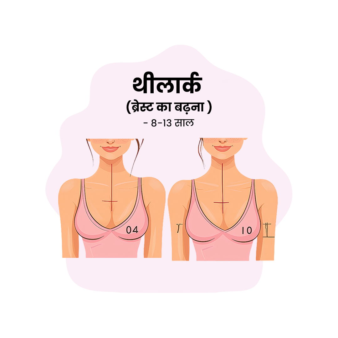 Breasts