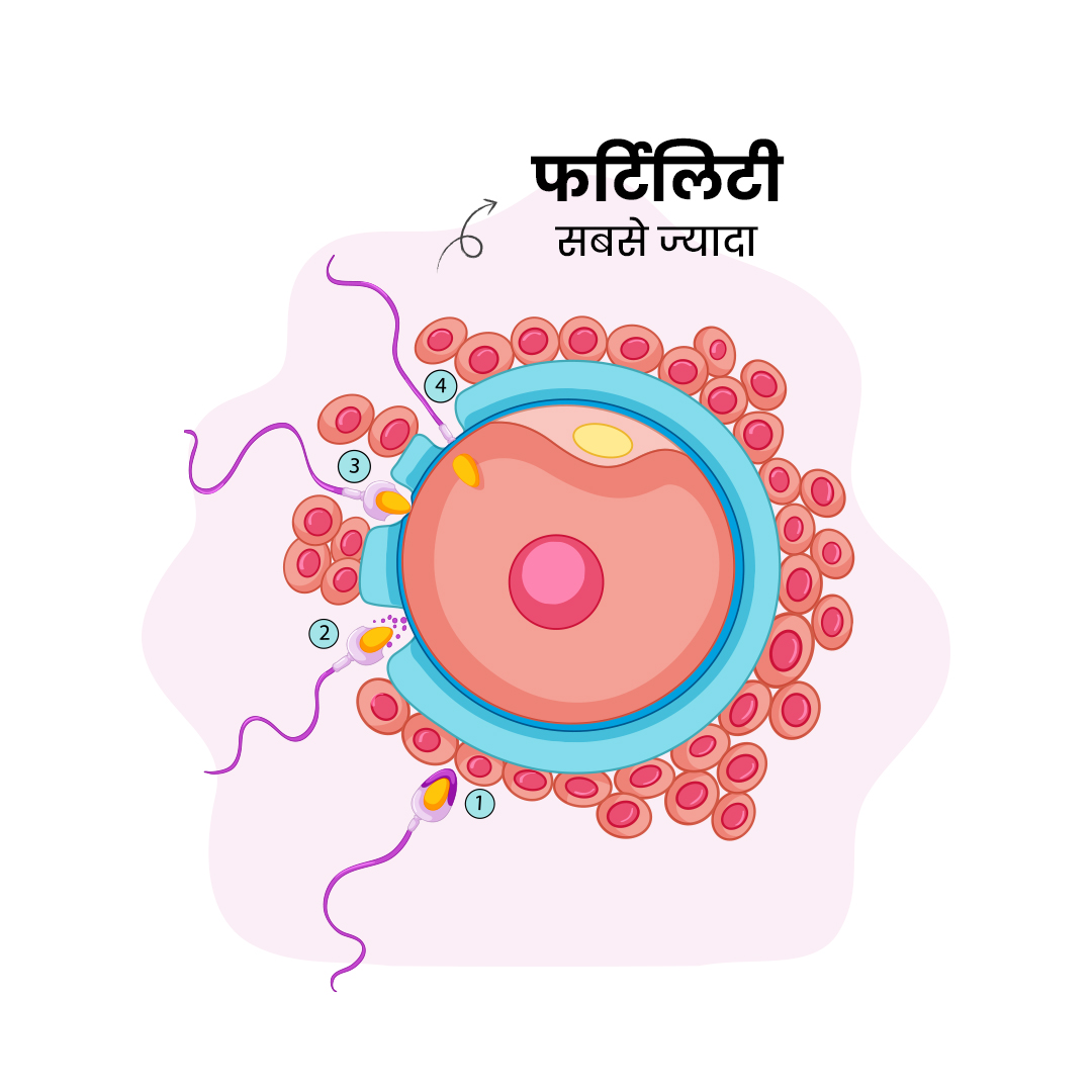 Fertility